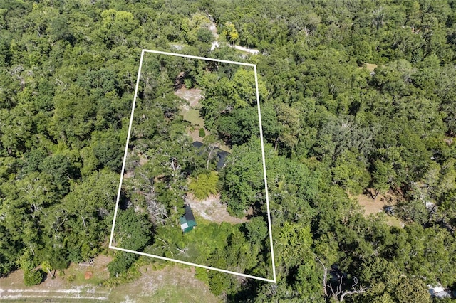 4923 SW Ichetucknee Ave, Fort White, FL 32038 - aerial view of property and surrounding area with property boundaries highlighted and a forest