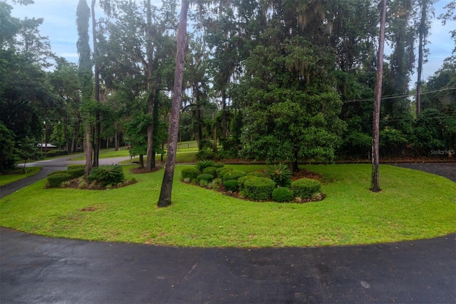 2506 SW 9th Dr, Gainesville, FL 32601 - view of property's community featuring a yard