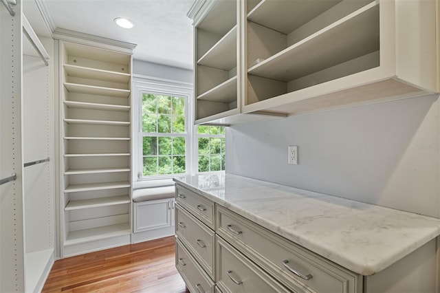 2506 SW 9th Dr, Gainesville, FL 32601 - walk in closet featuring light wood-type flooring