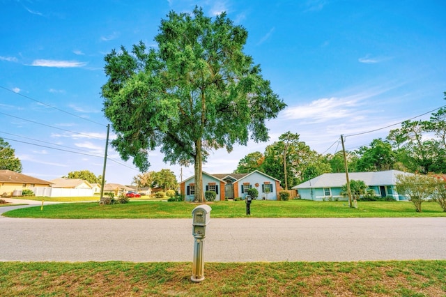 3292 NE 42nd Pl, Ocala, FL 34479 - view of asphalt road