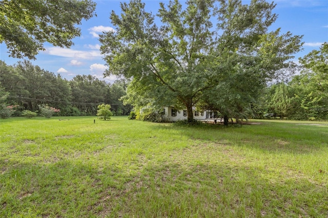 12809 NW 157th St, Alachua, FL 32615 - photo 20