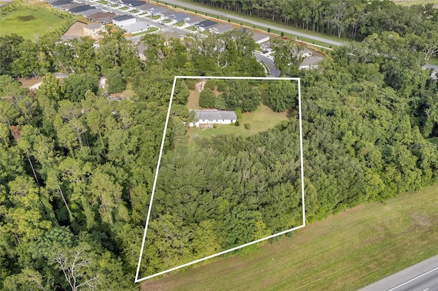 12809 NW 157th St, Alachua, FL 32615 - photo 25