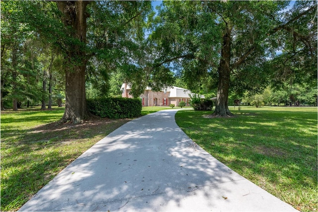 174 SW Dalmation Ln, Lake City, FL 32024 - view of property hidden behind natural elements with a front lawn
