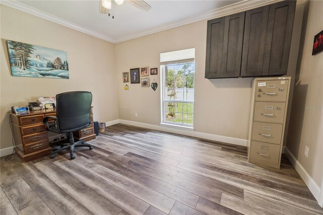 174 SW Dalmation Ln, Lake City, FL 32024 - office space featuring wood finished floors, crown molding, and a ceiling fan
