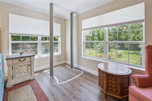 174 SW Dalmation Ln, Lake City, FL 32024 - living area featuring crown molding and wood finished floors