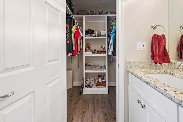 174 SW Dalmation Ln, Lake City, FL 32024 - walk in closet with dark wood-style floors and a sink