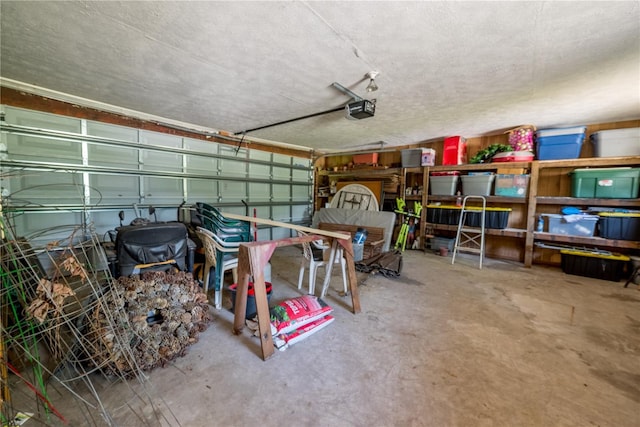 174 SW Dalmation Ln, Lake City, FL 32024 - garage with a garage door opener