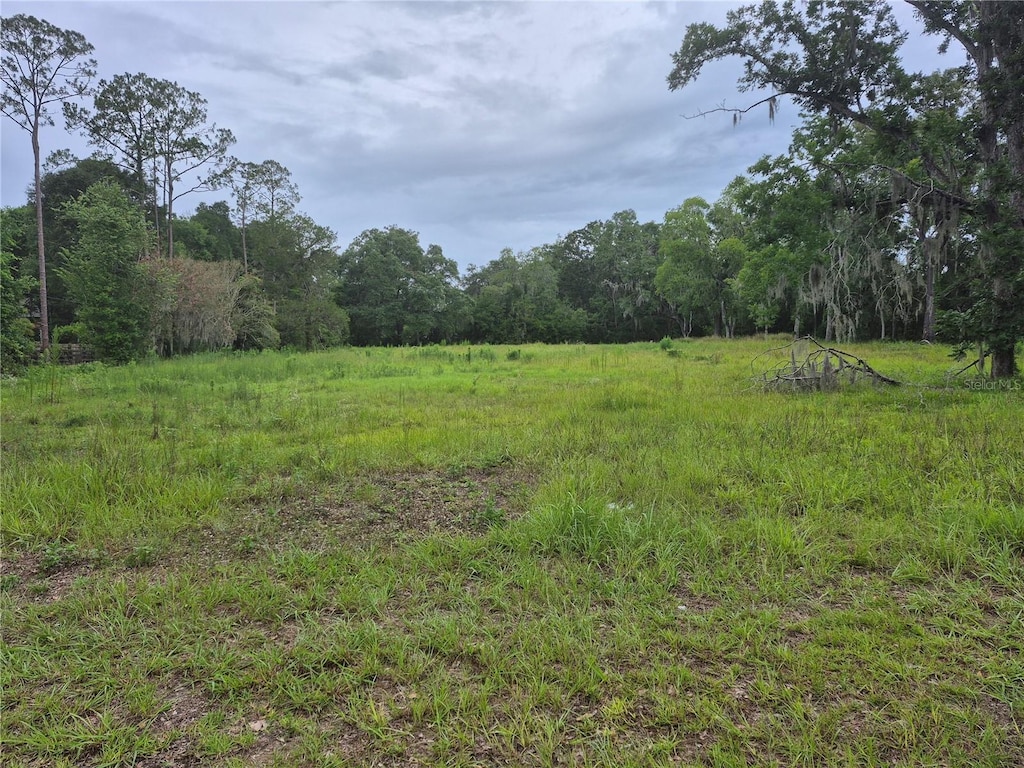 1224 NW 143rd St, Newberry, FL 32669 - photo 1