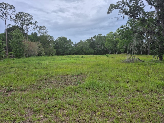 1224 NW 143rd St, Newberry, FL 32669