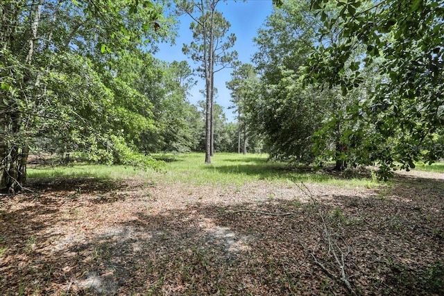 TBD 138th Ter, Live Oak, FL 32060