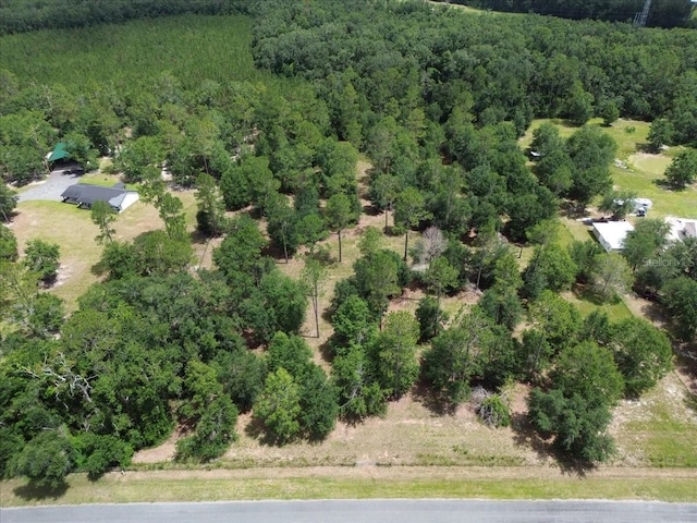 TBD 138th Ter, Live Oak, FL 32060