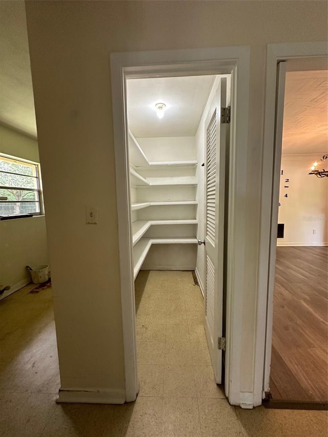 3321 NW 28th Ave, Gainesville, FL 32605 - photo 34