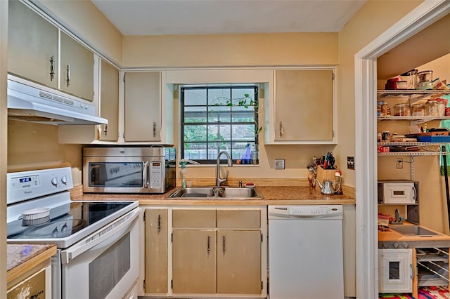 2510 NW 50th Pl, Gainesville, FL 32605 - kitchen with white appliances, under cabinet range hood, and light countertops