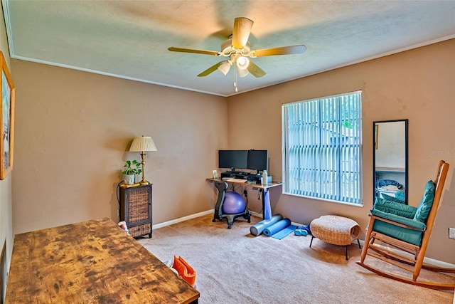 2510 NW 50th Pl, Gainesville, FL 32605 - carpeted office space with a ceiling fan and ornamental molding
