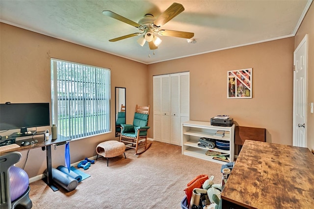 2510 NW 50th Pl, Gainesville, FL 32605 - carpeted office space with a ceiling fan and crown molding