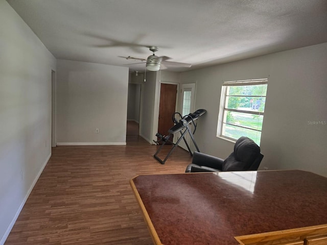 18566 NW 242nd St, High Springs, FL 32643 - photo 18