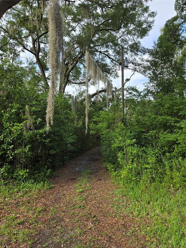 18566 NW 242nd St, High Springs, FL 32643 - photo 28