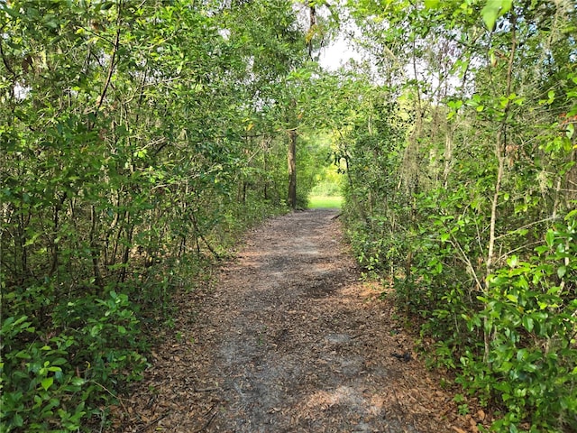 18566 NW 242nd St, High Springs, FL 32643 - photo 30