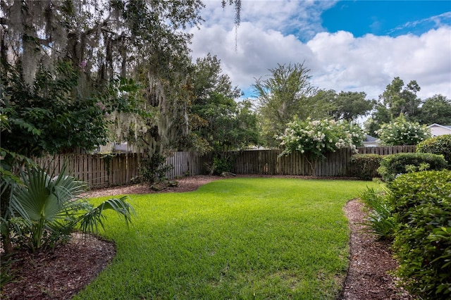 3737 SW 74th Dr, Gainesville, FL 32608 - view of fenced backyard