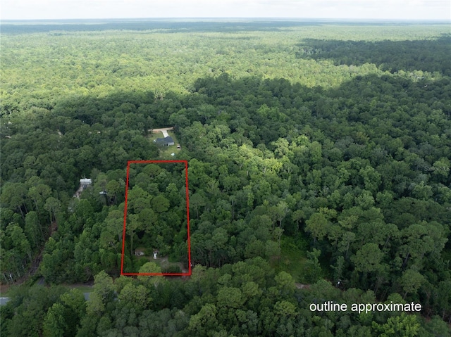 5165 Chicory Cir, Middleburg, FL 32068 - photo 1
