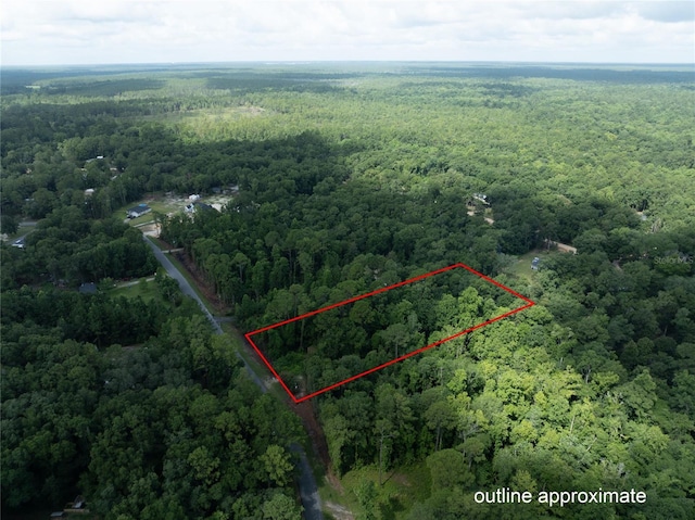 5165 Chicory Cir, Middleburg, FL 32068 - photo 2