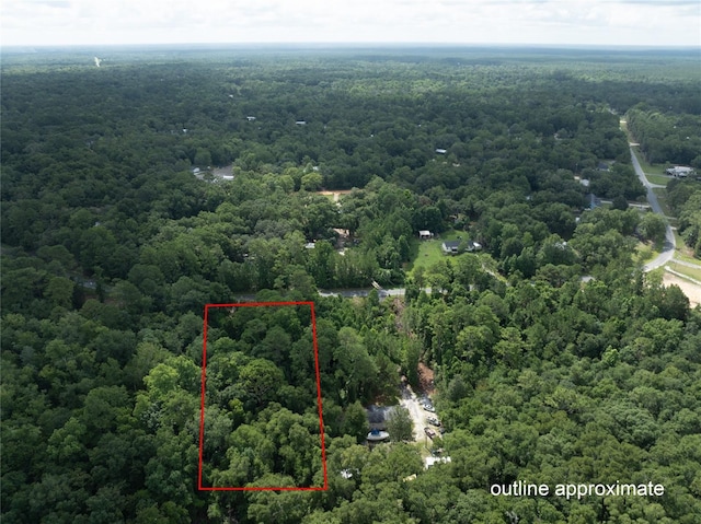 5165 Chicory Cir, Middleburg, FL 32068 - photo 4