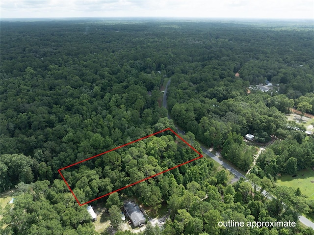 5165 Chicory Cir, Middleburg, FL 32068 - photo 5