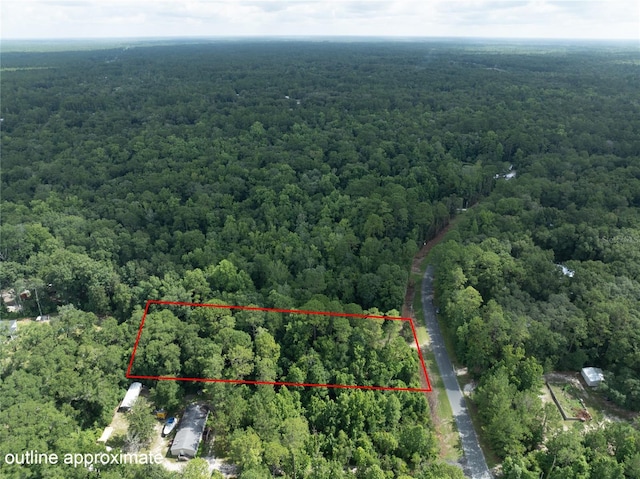 5165 Chicory Cir, Middleburg, FL 32068 - photo 6