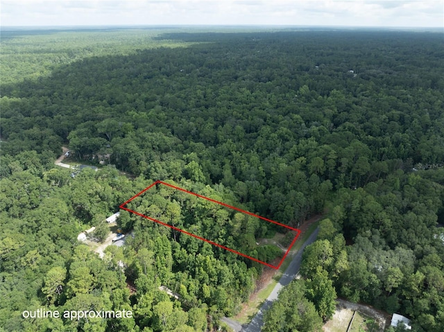 5165 Chicory Cir, Middleburg, FL 32068 - photo 7