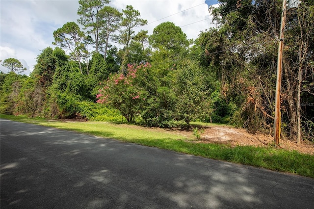 5165 Chicory Cir, Middleburg, FL 32068 - photo 8