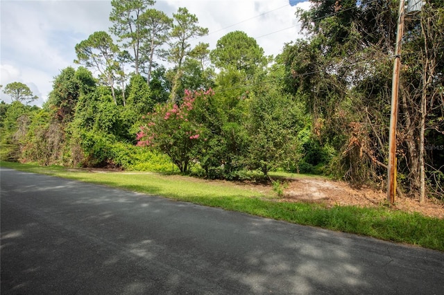 5165 Chicory Cir, Middleburg, FL 32068 - photo 10