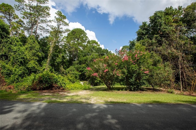 5165 Chicory Cir, Middleburg, FL 32068 - photo 11