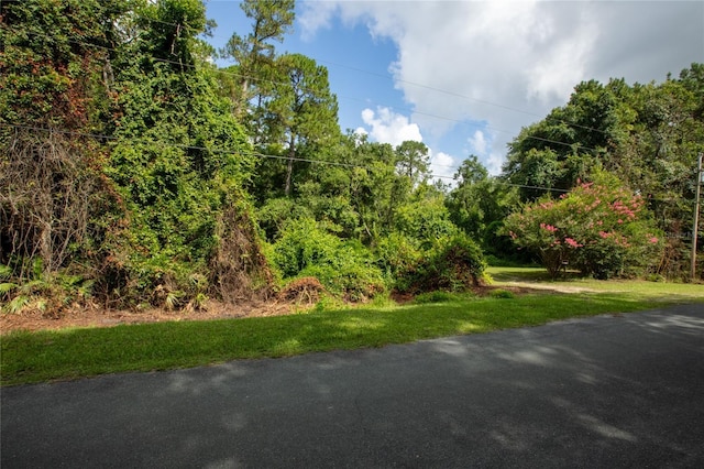5165 Chicory Cir, Middleburg, FL 32068 - photo 13