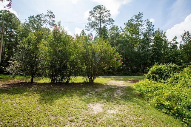 5165 Chicory Cir, Middleburg, FL 32068 - photo 14