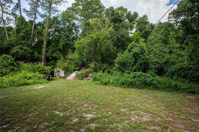 5165 Chicory Cir, Middleburg, FL 32068 - photo 21
