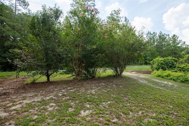 5165 Chicory Cir, Middleburg, FL 32068 - photo 22