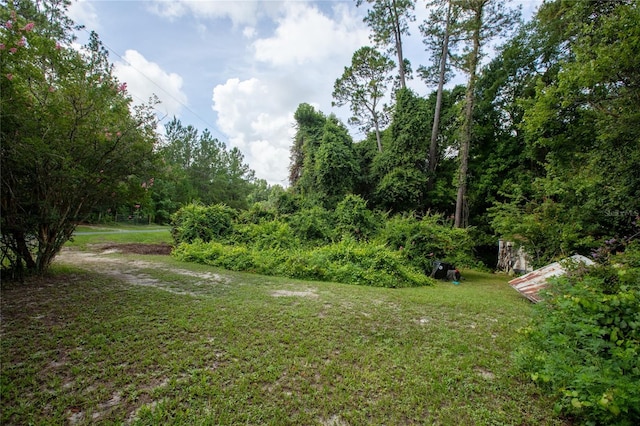 5165 Chicory Cir, Middleburg, FL 32068 - photo 23