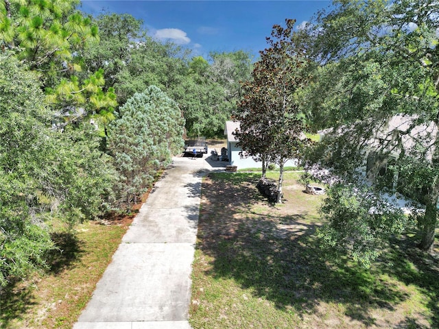 8198 N Brook Way, Citrus Springs, FL 34433 - view of yard with driveway