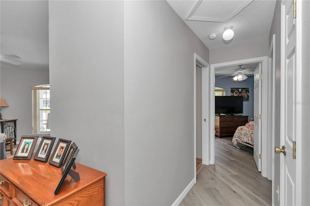 8198 N Brook Way, Citrus Springs, FL 34433 - hall with light wood-type flooring and baseboards