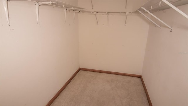 7925 NE 221st St, Melrose, FL 32666 - photo 20