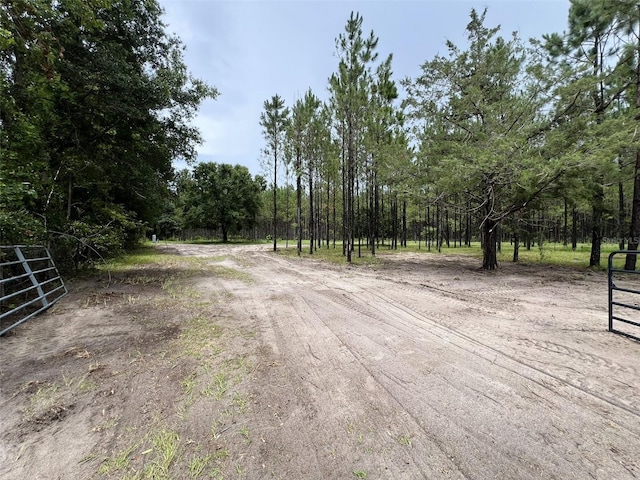 1101 NE 340th Hwy, Branford, FL 32008 - photo 4
