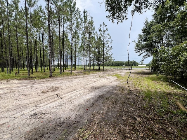 1101 NE 340th Hwy, Branford, FL 32008 - photo 5