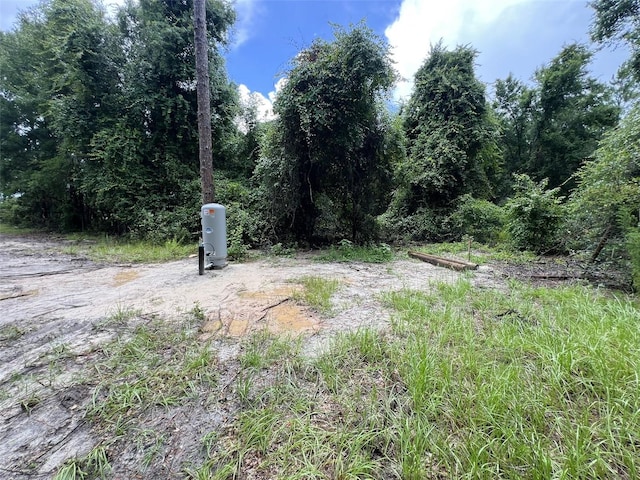 1101 NE 340th Hwy, Branford, FL 32008 - photo 8