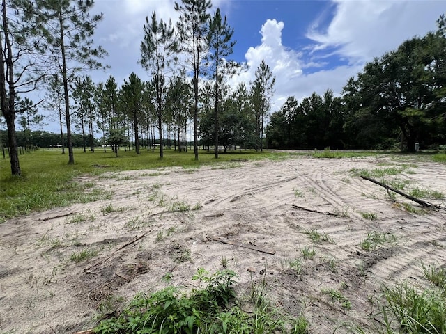 1101 NE 340th Hwy, Branford, FL 32008 - photo 11