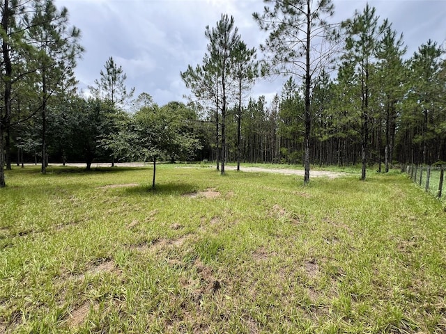 1101 NE 340th Hwy, Branford, FL 32008 - photo 12