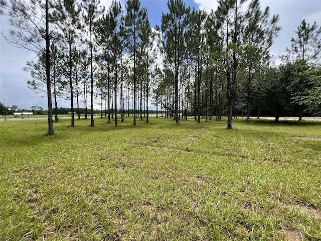 1101 NE 340th Hwy, Branford, FL 32008 - photo 13