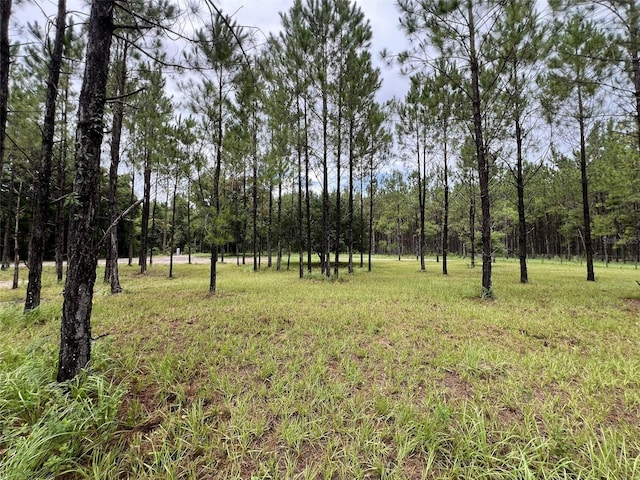 1101 NE 340th Hwy, Branford, FL 32008 - photo 15