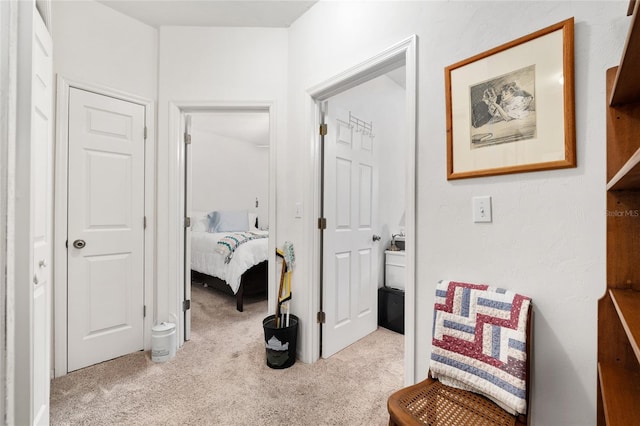 4814 NW 75th Rd, Gainesville, FL 32653 - hallway featuring carpet floors