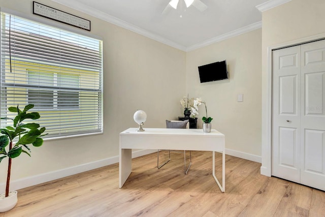 6364 Golden Eye Gln, Lakewood Ranch, FL 34202 - office space with ornamental molding, light wood finished floors, a ceiling fan, and plenty of natural light