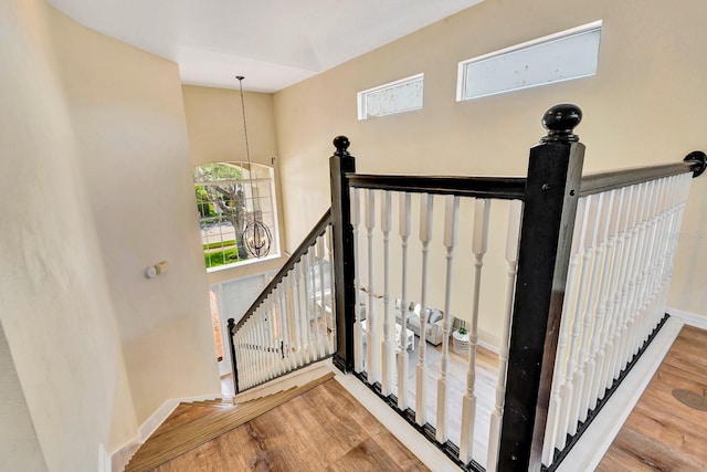 6364 Golden Eye Gln, Lakewood Ranch, FL 34202 - stairs featuring wood finished floors and baseboards